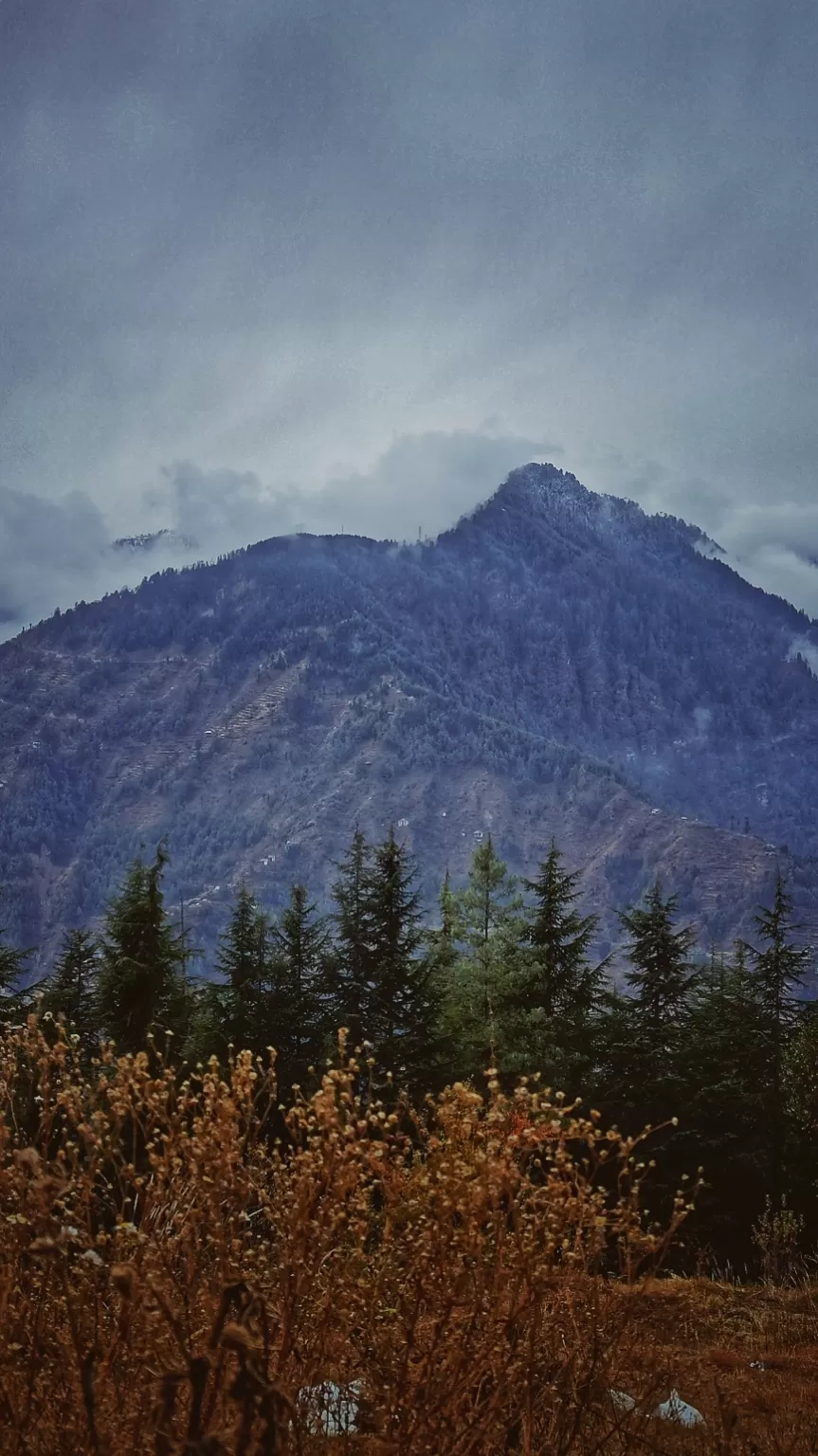 Photo of Bahu By Arun Saini