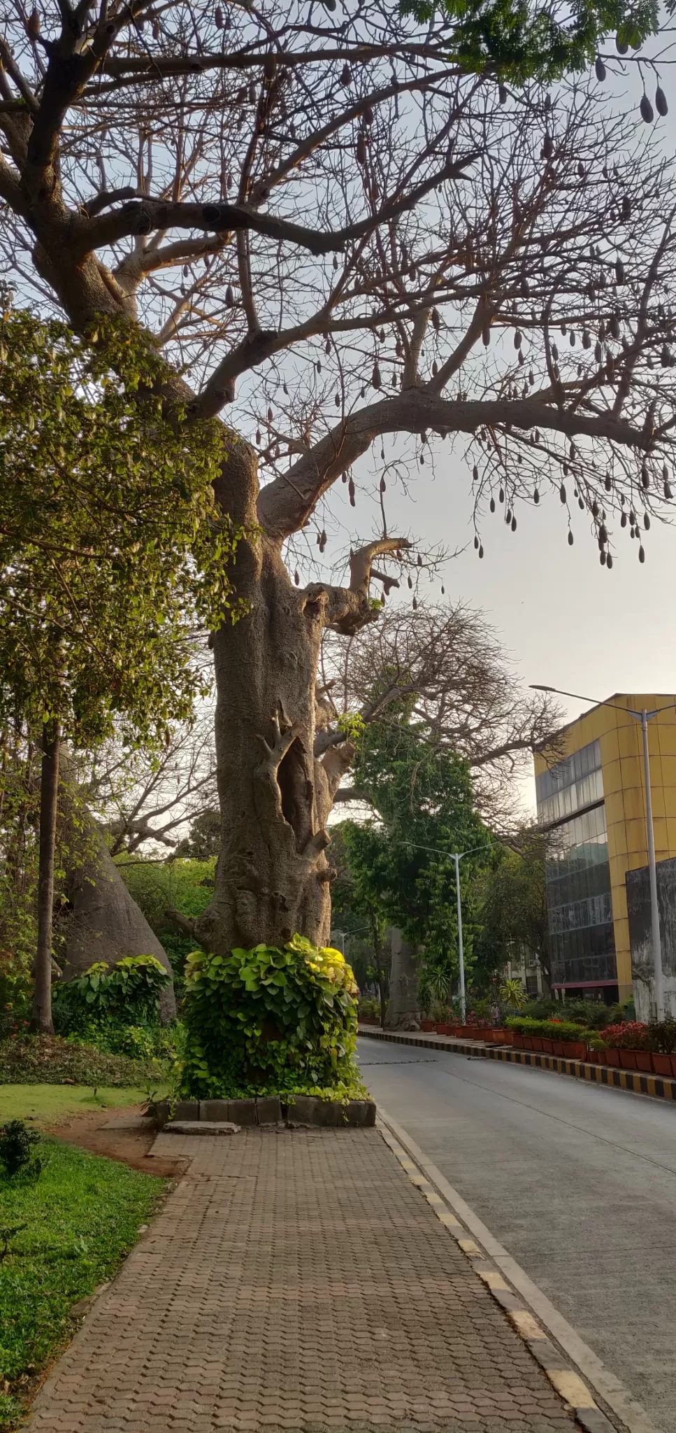 Photo of Seepz By Kirti Katariya