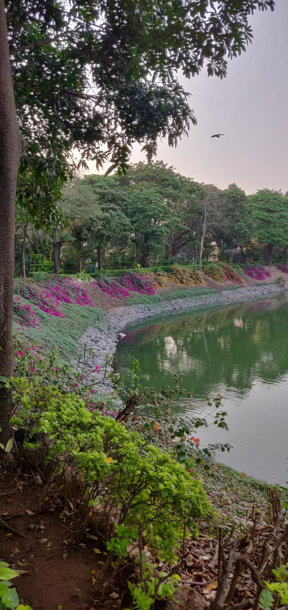 Photo of Seepz By Kirti Katariya