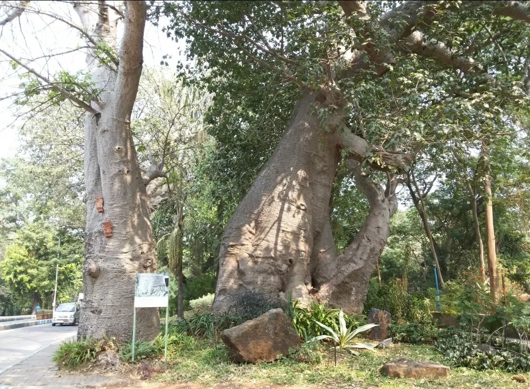 Photo of Seepz By Kirti Katariya