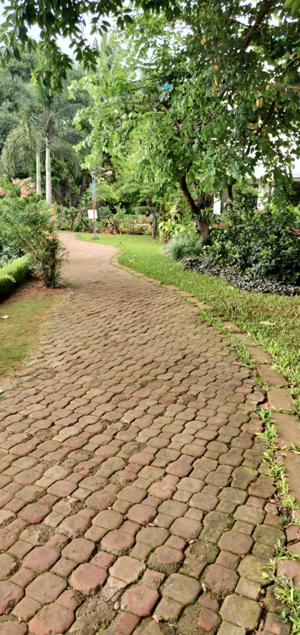 Photo of Seepz By Kirti Katariya