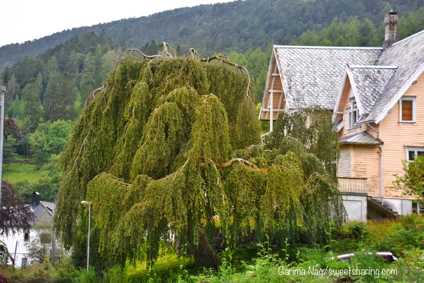 Photo of Gamlehaugen By Garima Nag