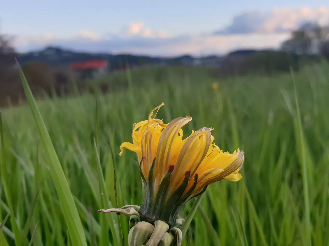 Photo of Stavanger By Garima Nag