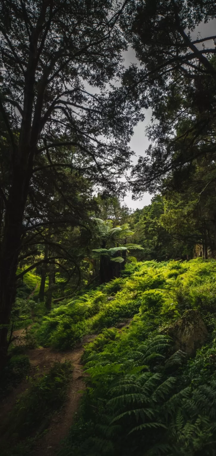 Photo of Kasol By Sulabh Thapa