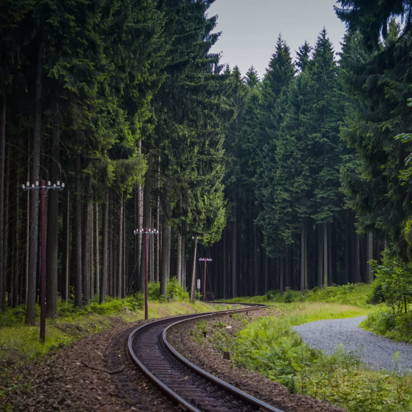 Photo of Himachal Pradesh By Sulabh Thapa