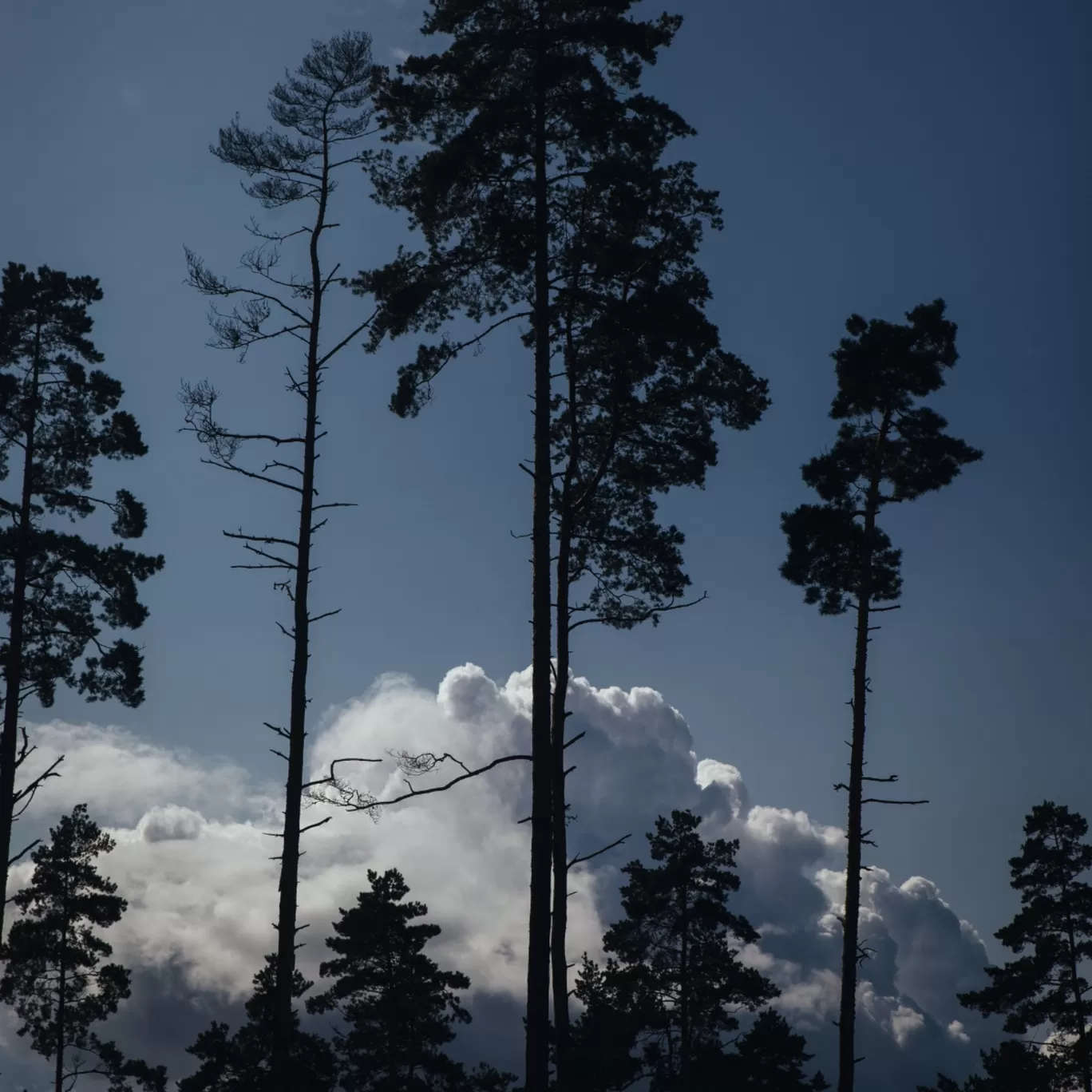 Photo of Himachal Pradesh By Sulabh Thapa