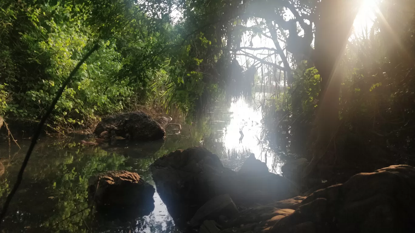 Photo of Arambol Sweet Water Lake By Dhruvish Chaudhari