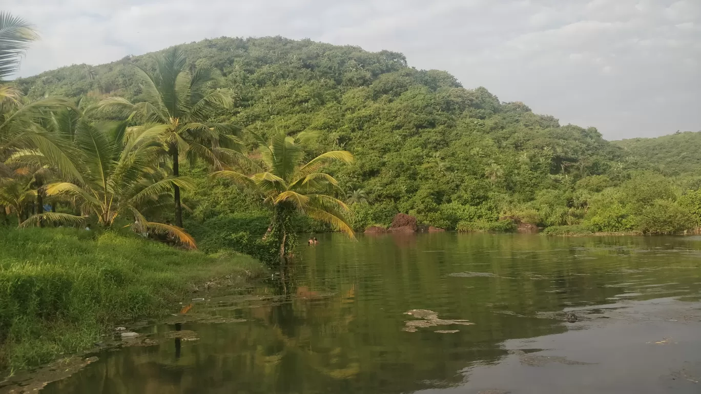 Photo of Arambol Sweet Water Lake By Dhruvish Chaudhari