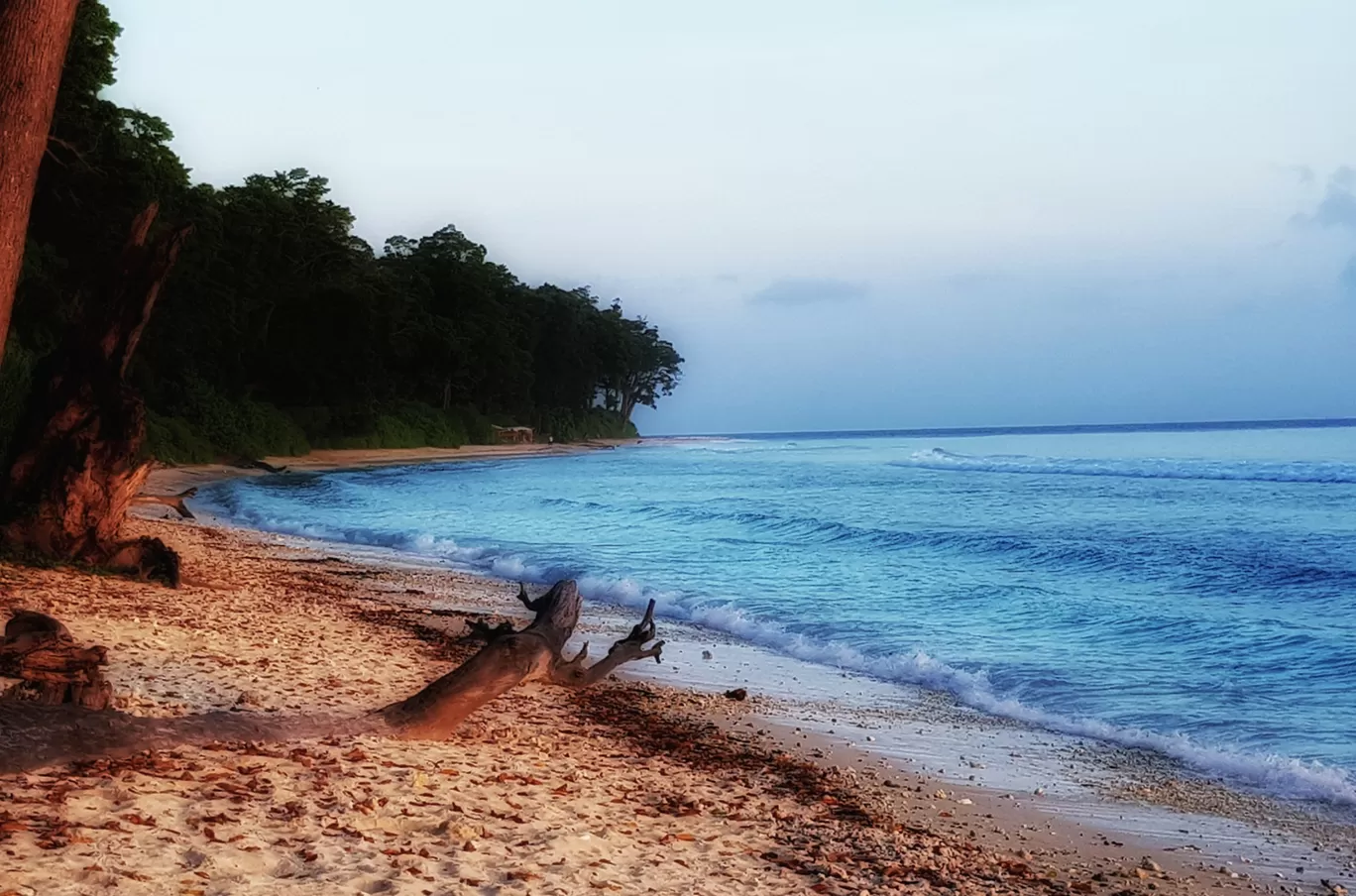 Photo of Andaman Islands By Rahul Johari
