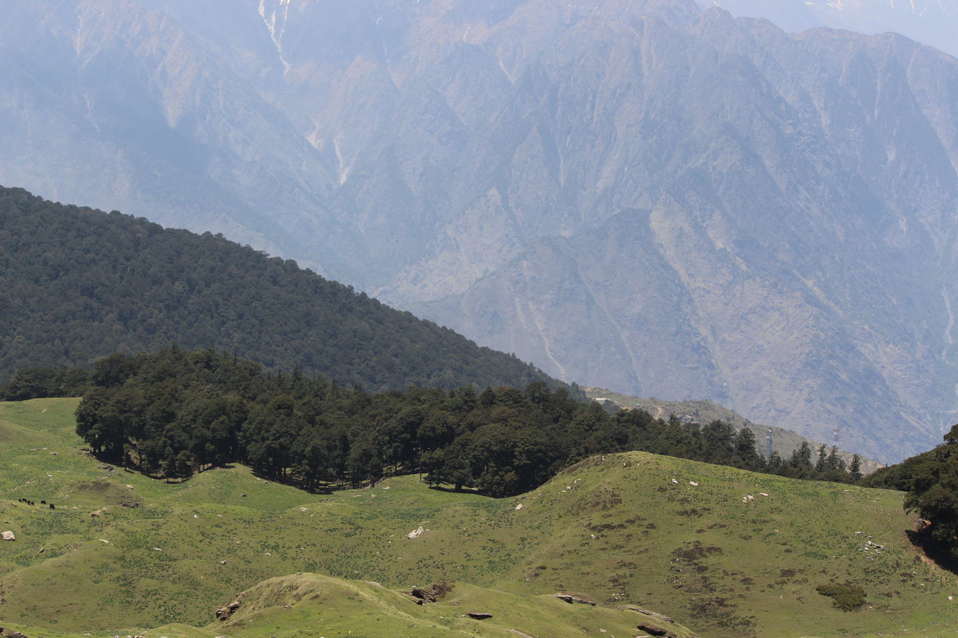 Photo of Kuari Pass & Pangarchulla Peak By Deepak Kapoor