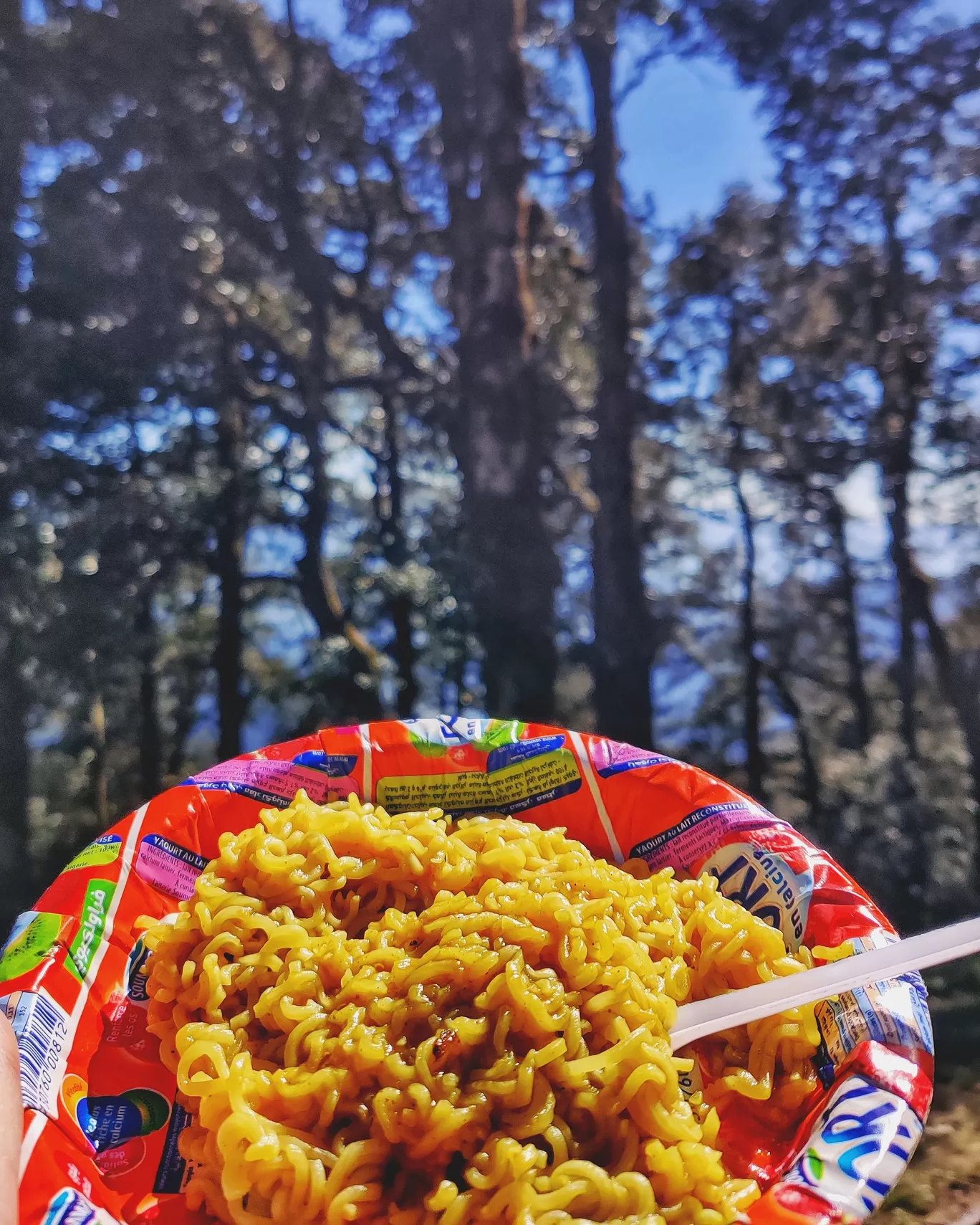 Photo of Tirthan Valley By Nikita Khosla