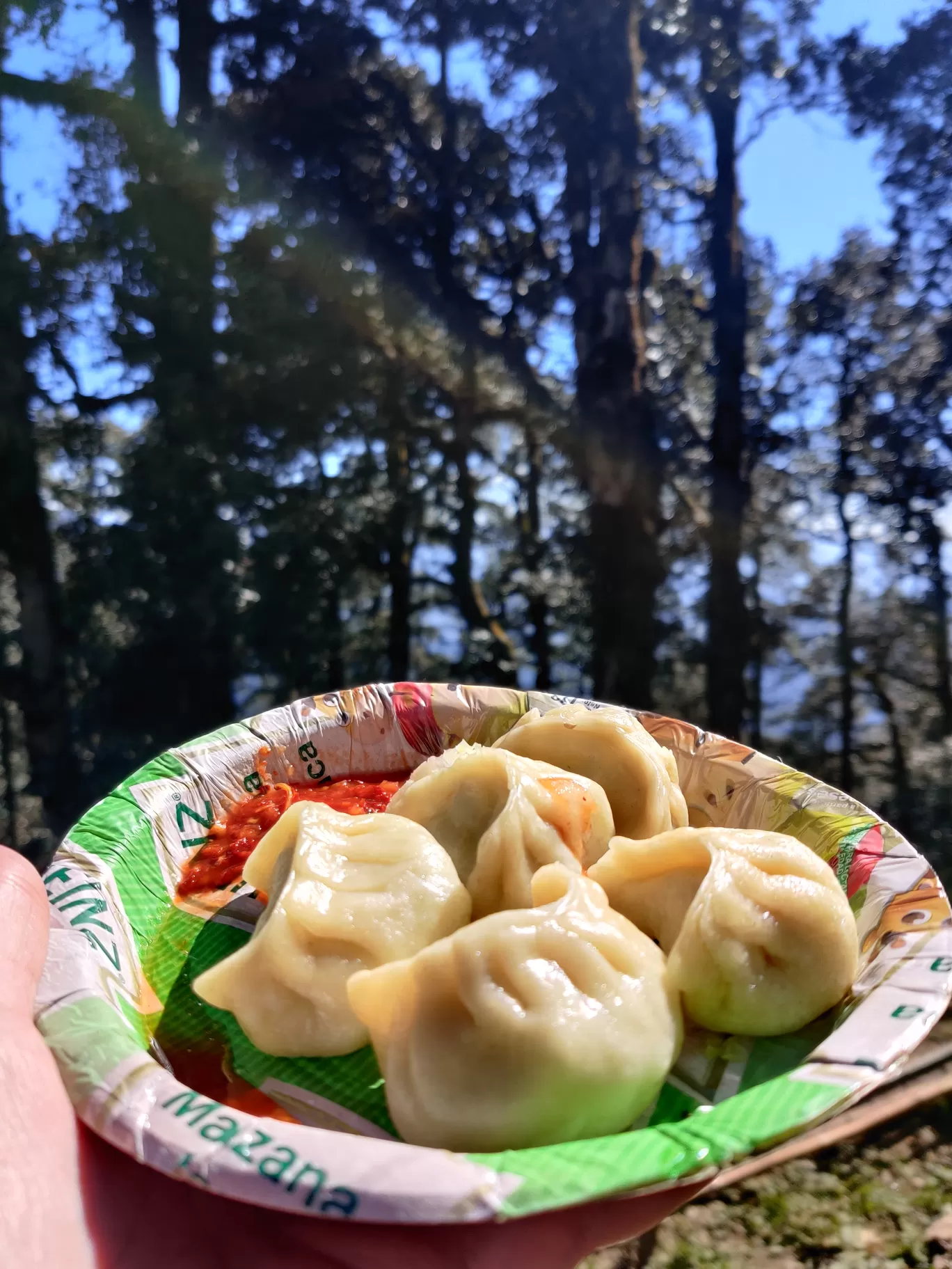 Photo of Tirthan Valley By Nikita Khosla