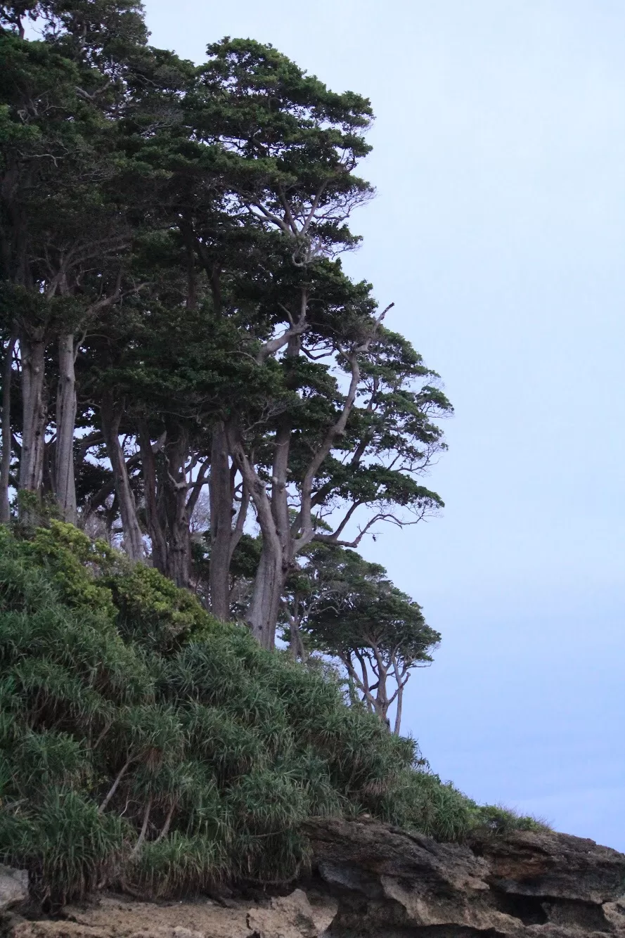 Photo of Neil Island By Nomad Nomads!! 