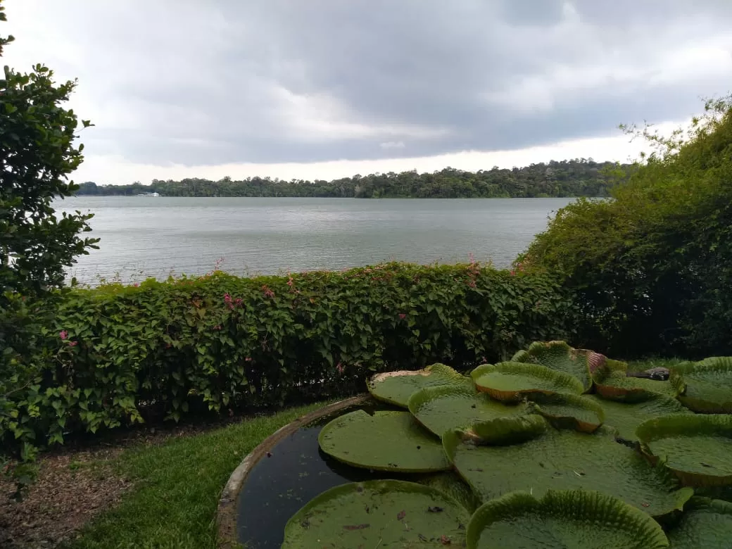 Photo of Punggol Central By Malavika Parth