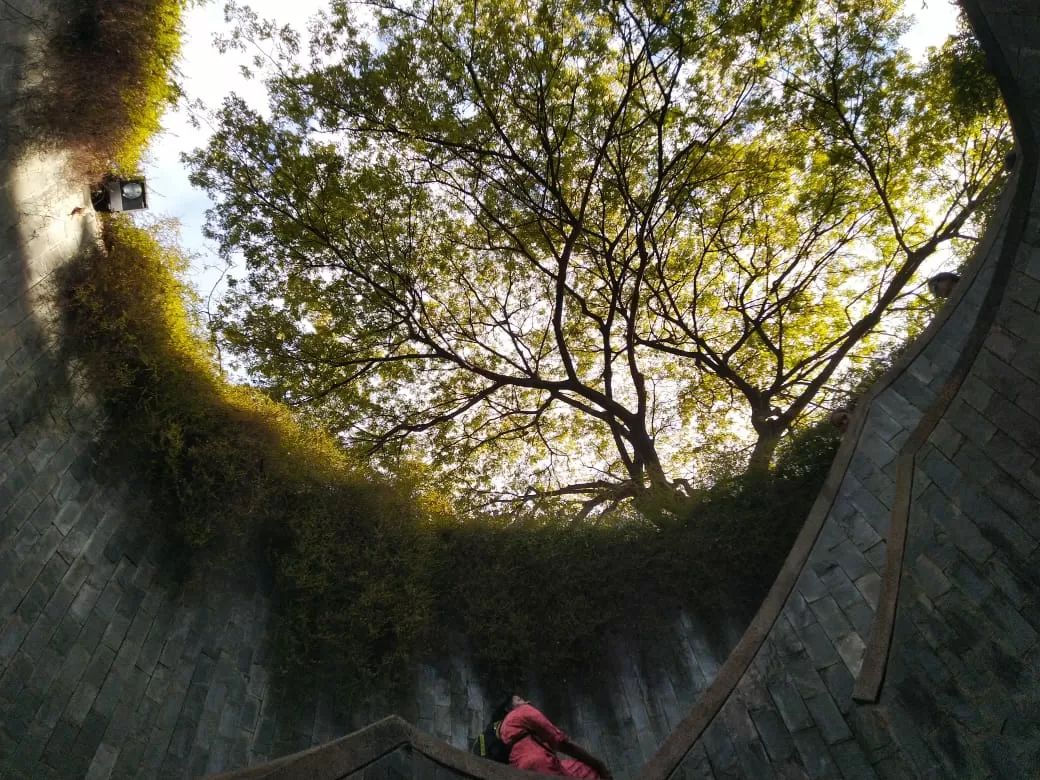 Photo of Punggol Central By Malavika Parth
