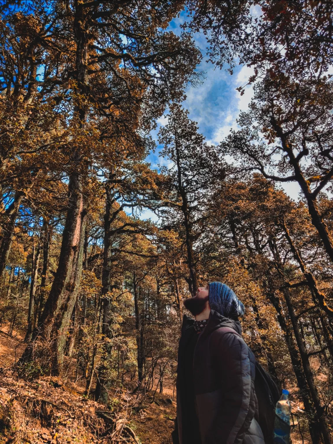 Photo of Himachal Pradesh By Satyam Jain