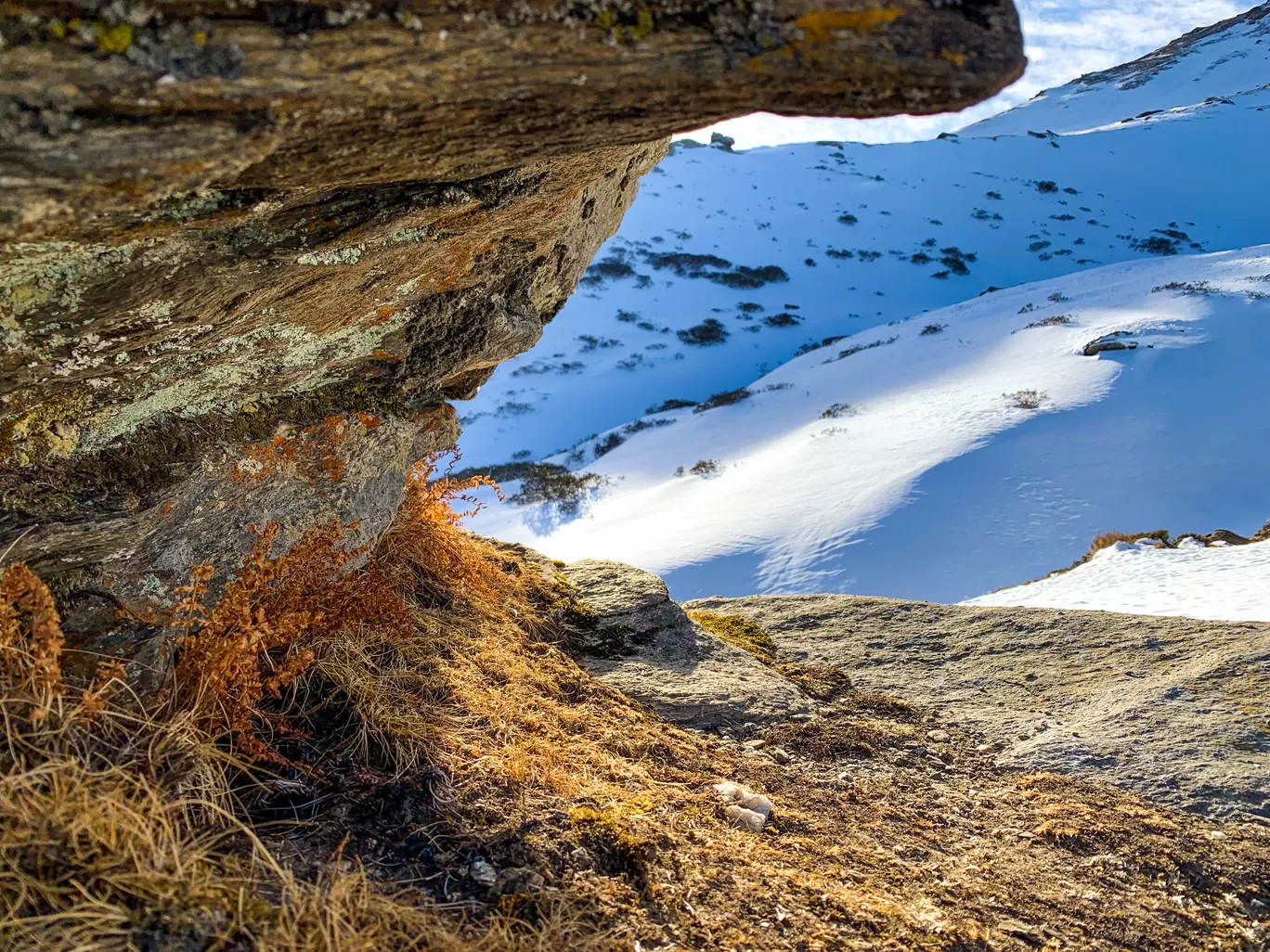Photo of Kedarkantha Summit By Balbir Singh
