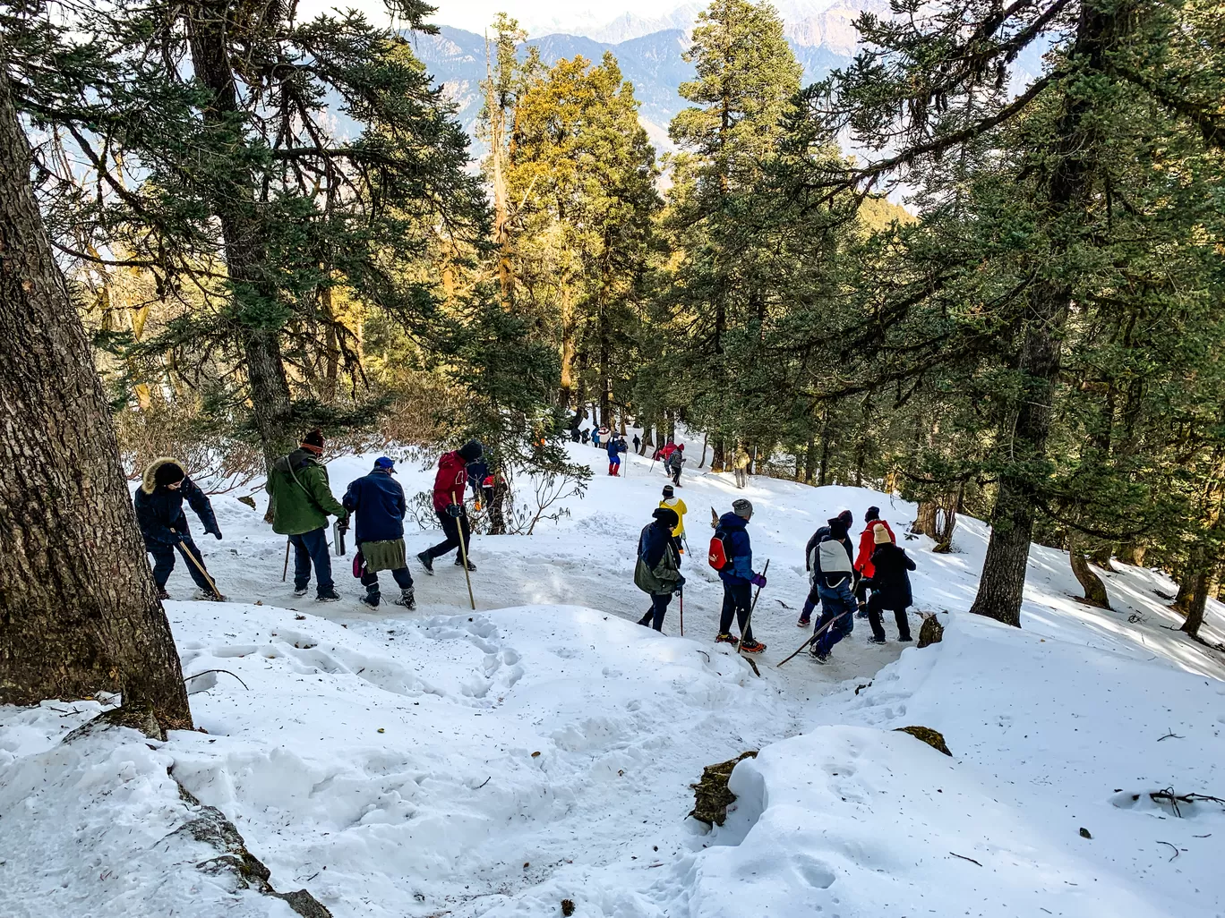 Photo of Kedarkantha Summit By Balbir Singh