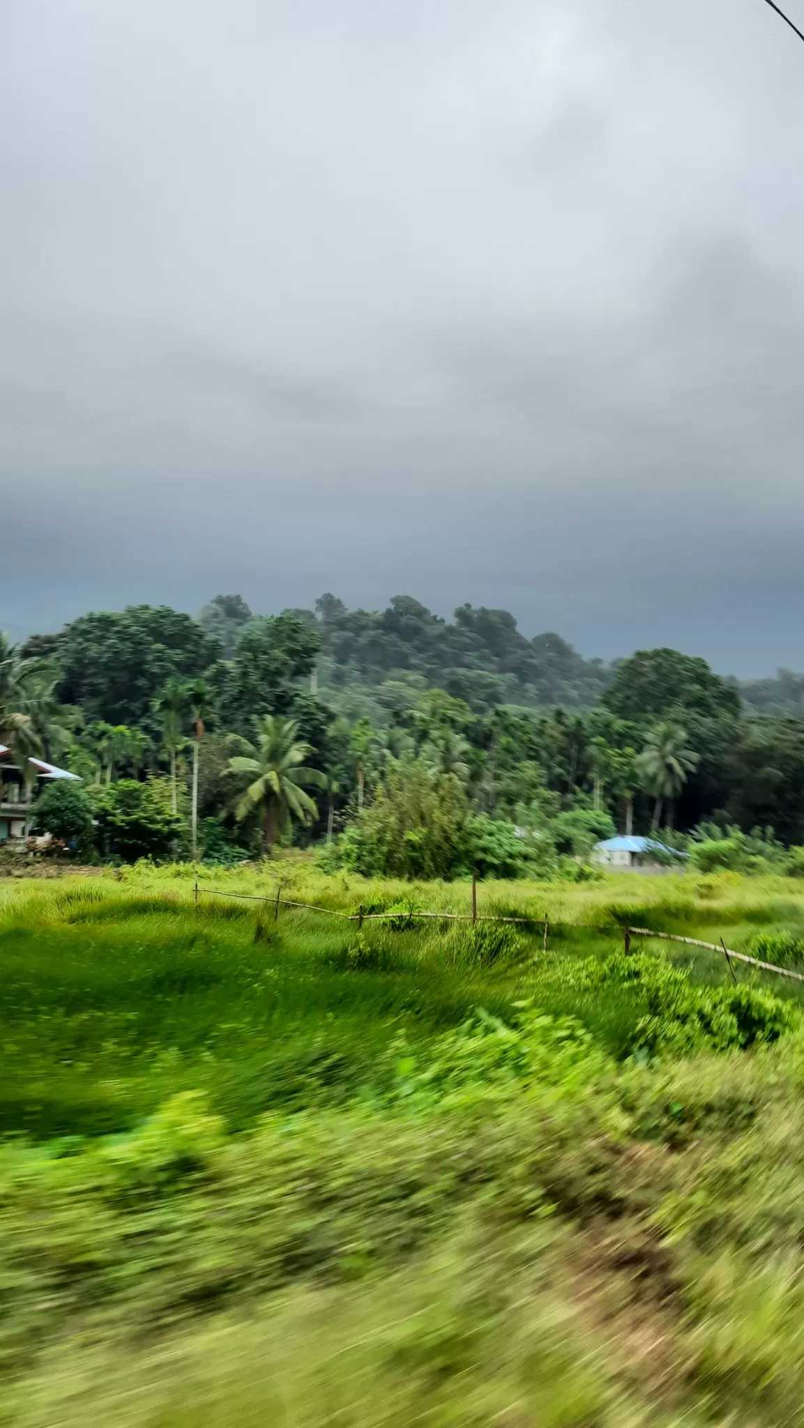Photo of Havelock Island By shikhar