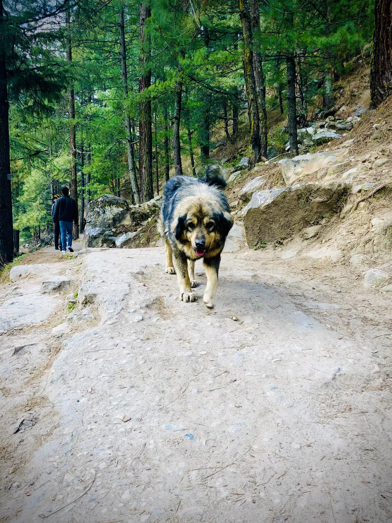 Photo of Kasol By Rakesh Chanda