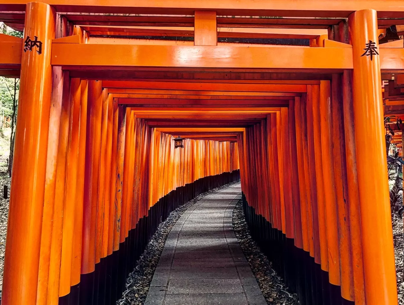 Photo of Mount Fuji By Manish Kodali