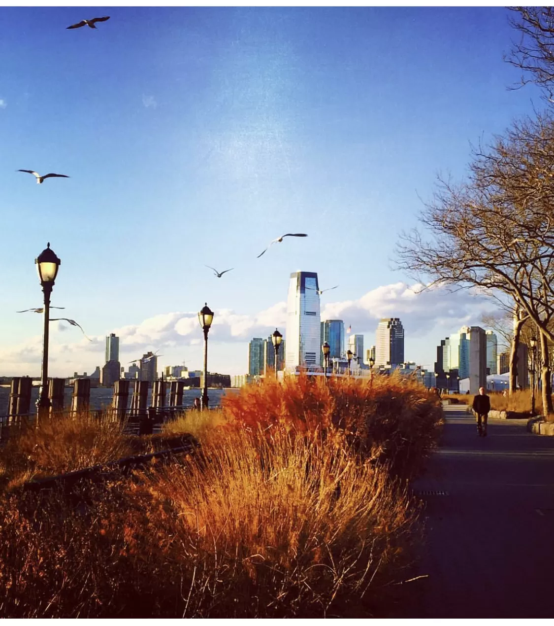 Photo of New York By Manish Kodali
