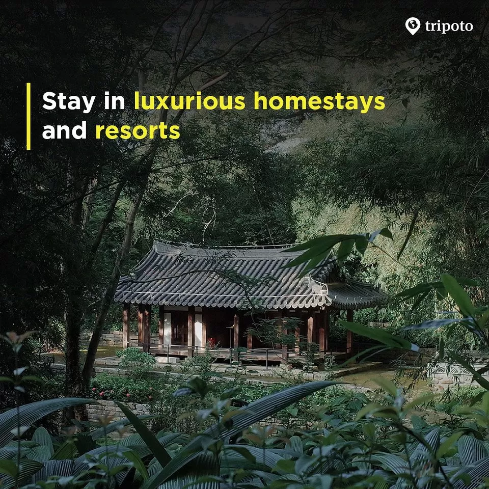 Photo of Meghalaya By Tripoto