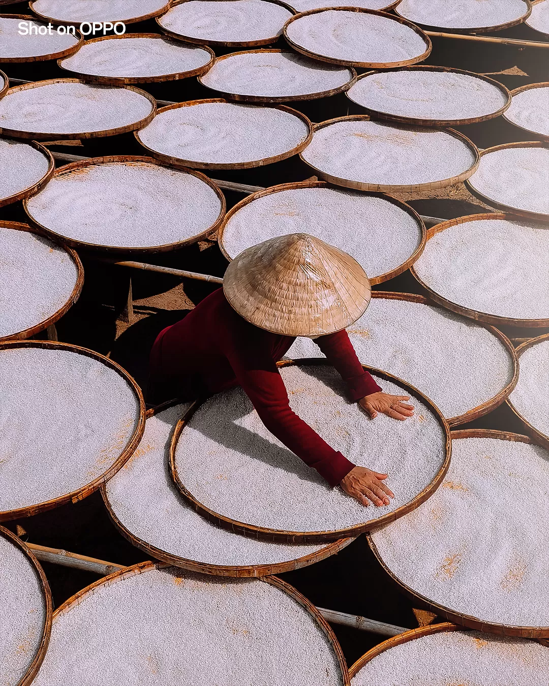 Photo of Vietnam By Tripoto