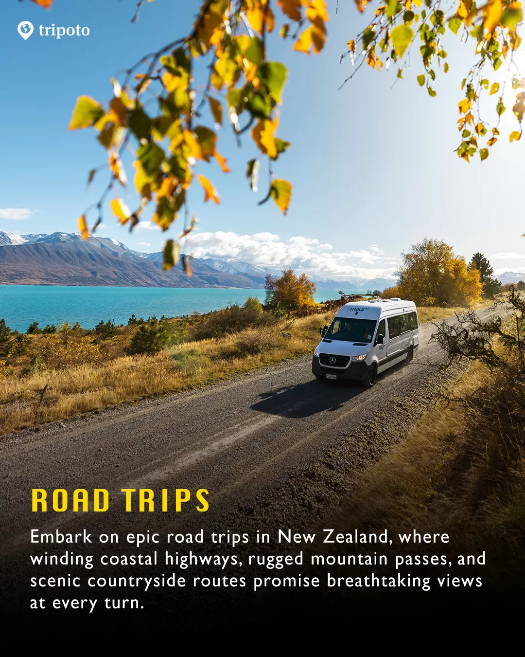 Photo of New Zealand By Tripoto