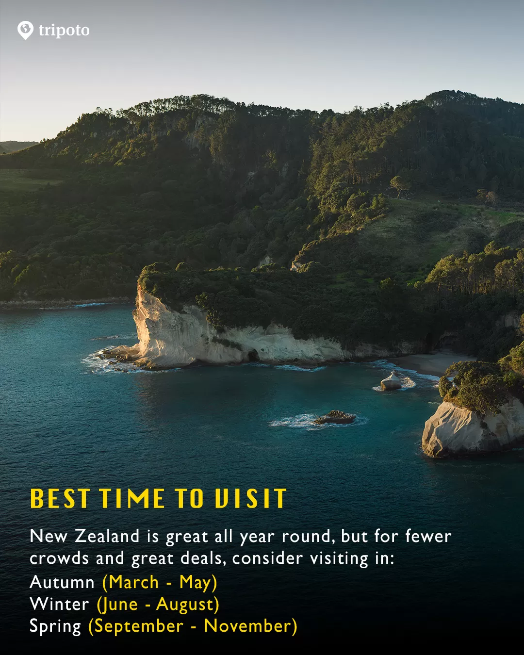 Photo of New Zealand By Tripoto