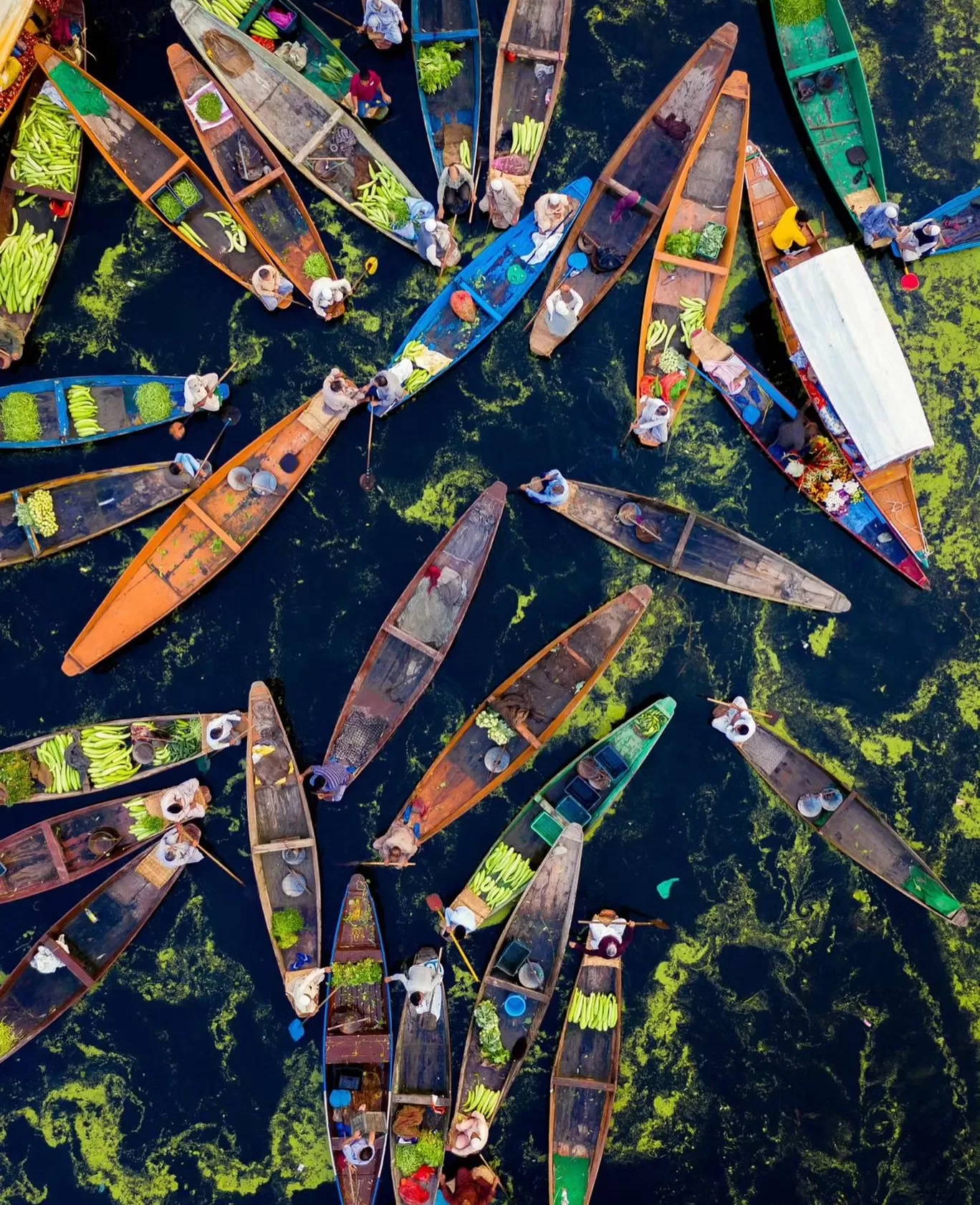 Photo of India By Tripoto