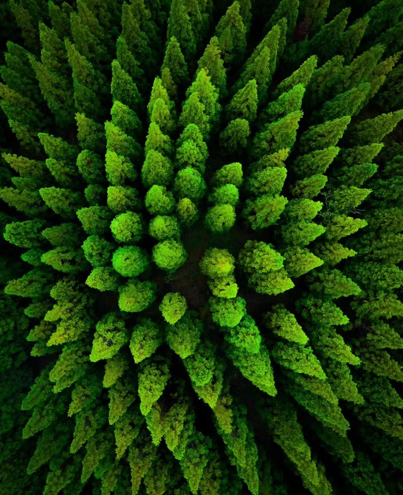 Photo of India By Tripoto