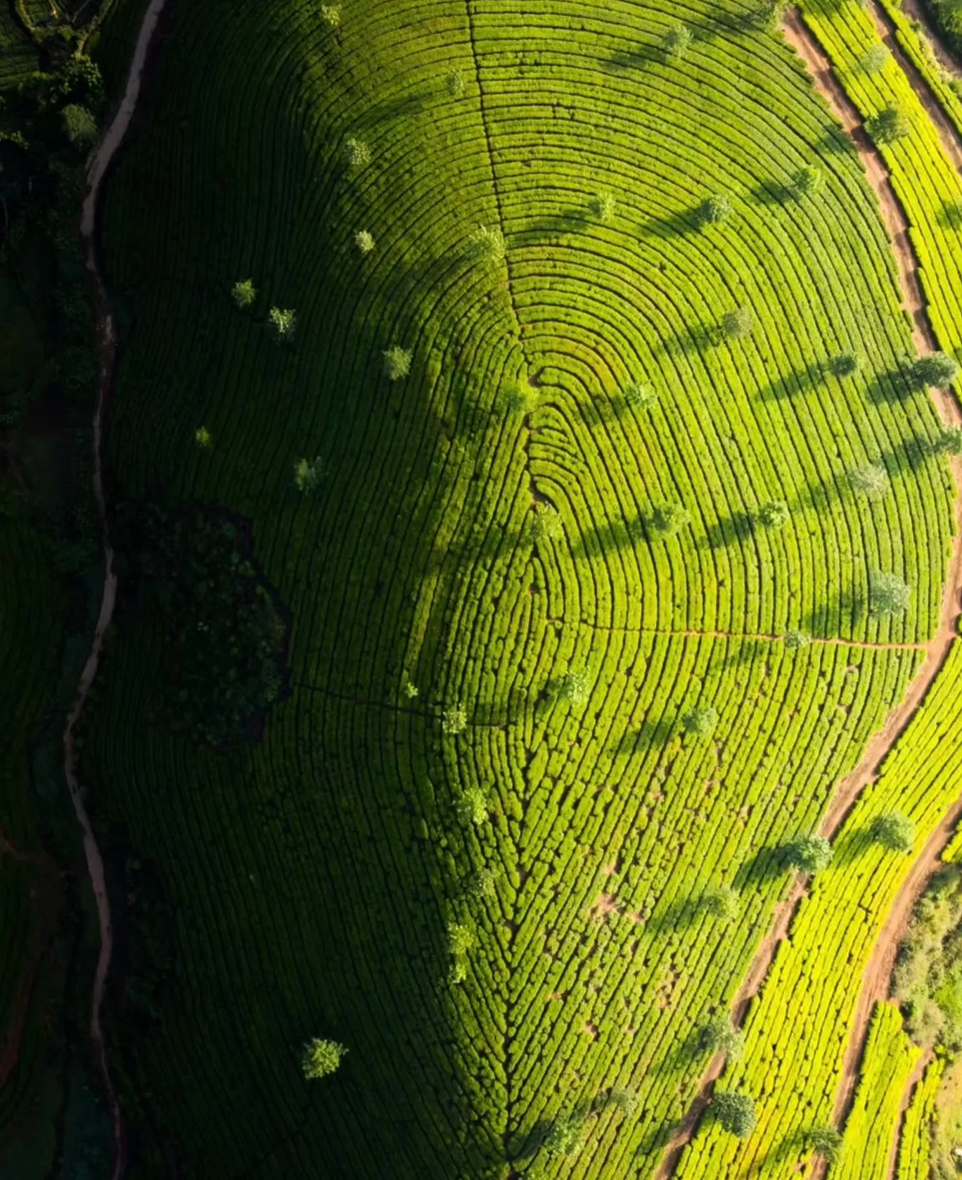 Photo of India By Tripoto