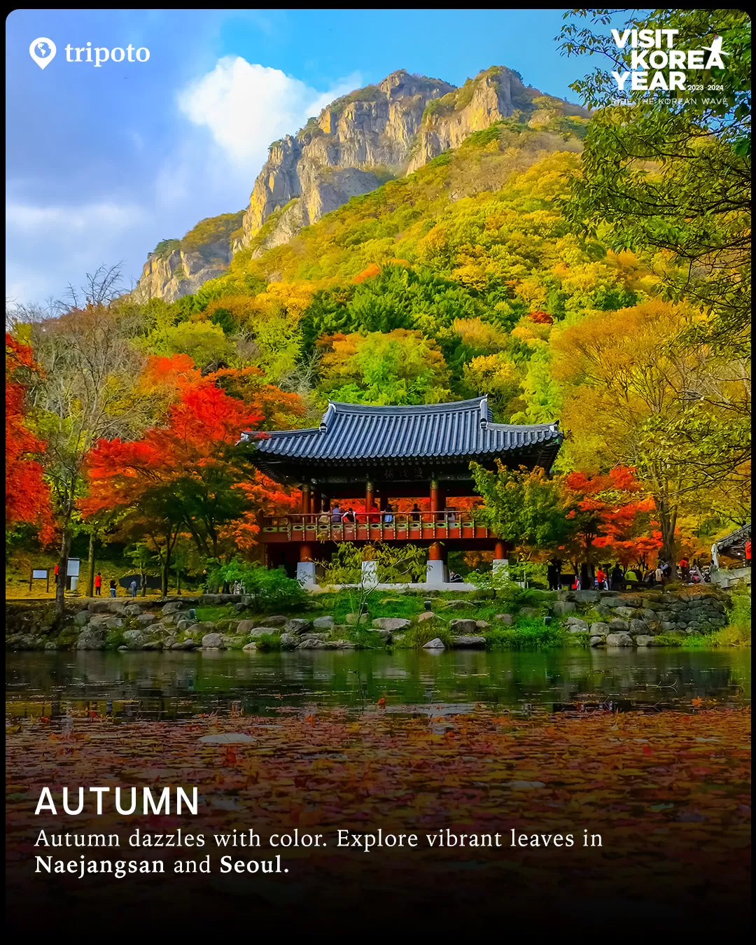 Photo of South Korea By Tripoto