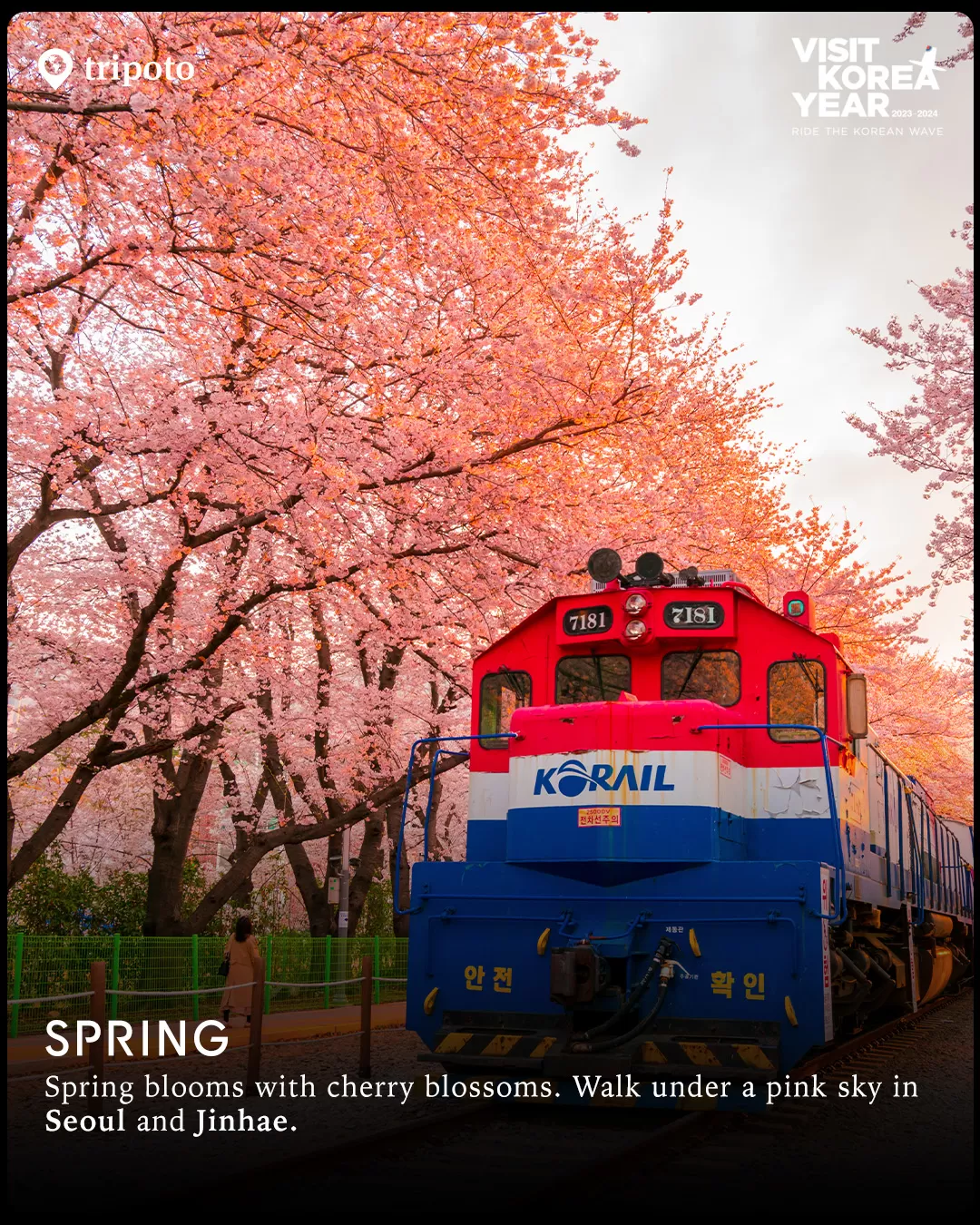 Photo of South Korea By Tripoto