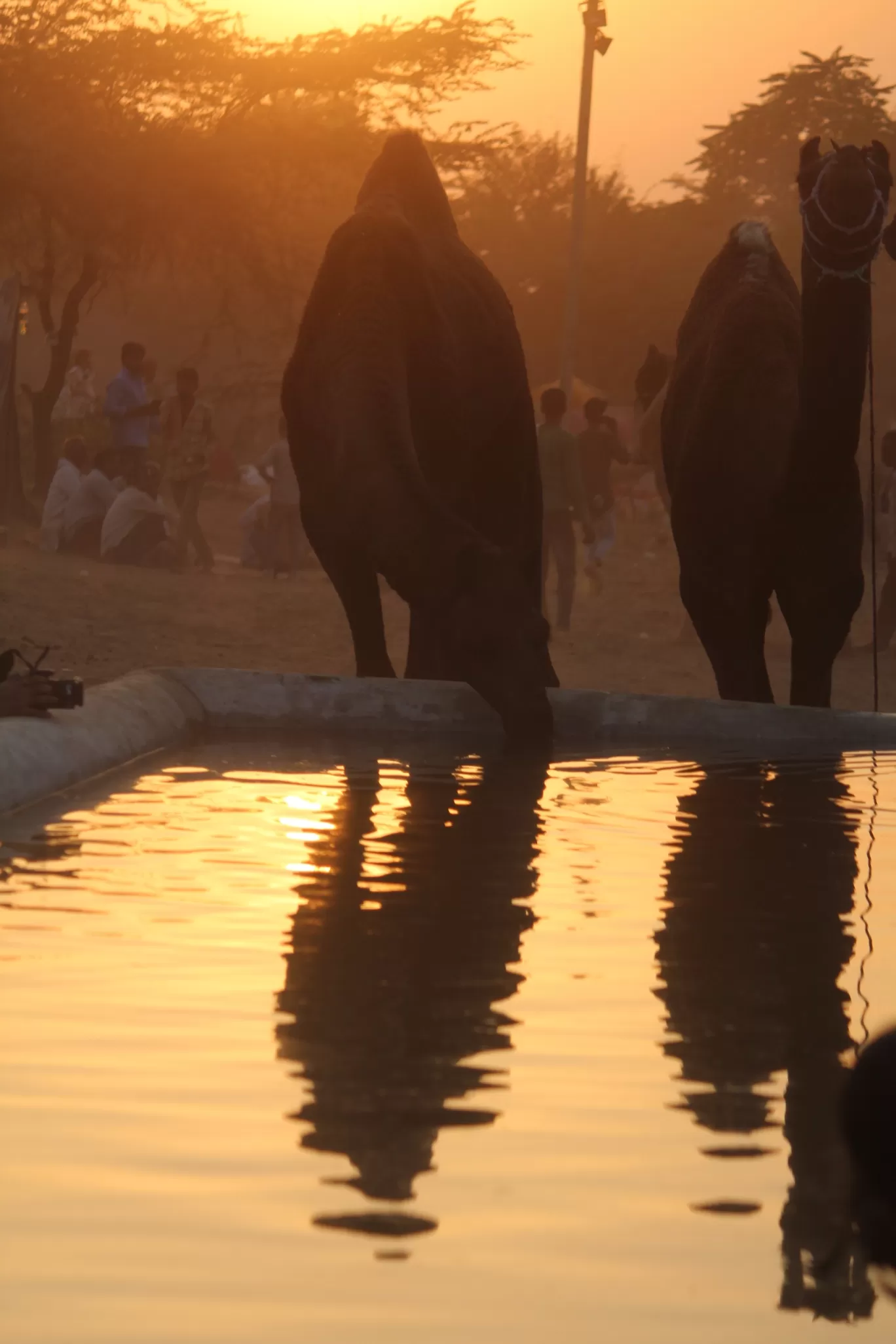 Photo of Pushkar By Maneesh Manu