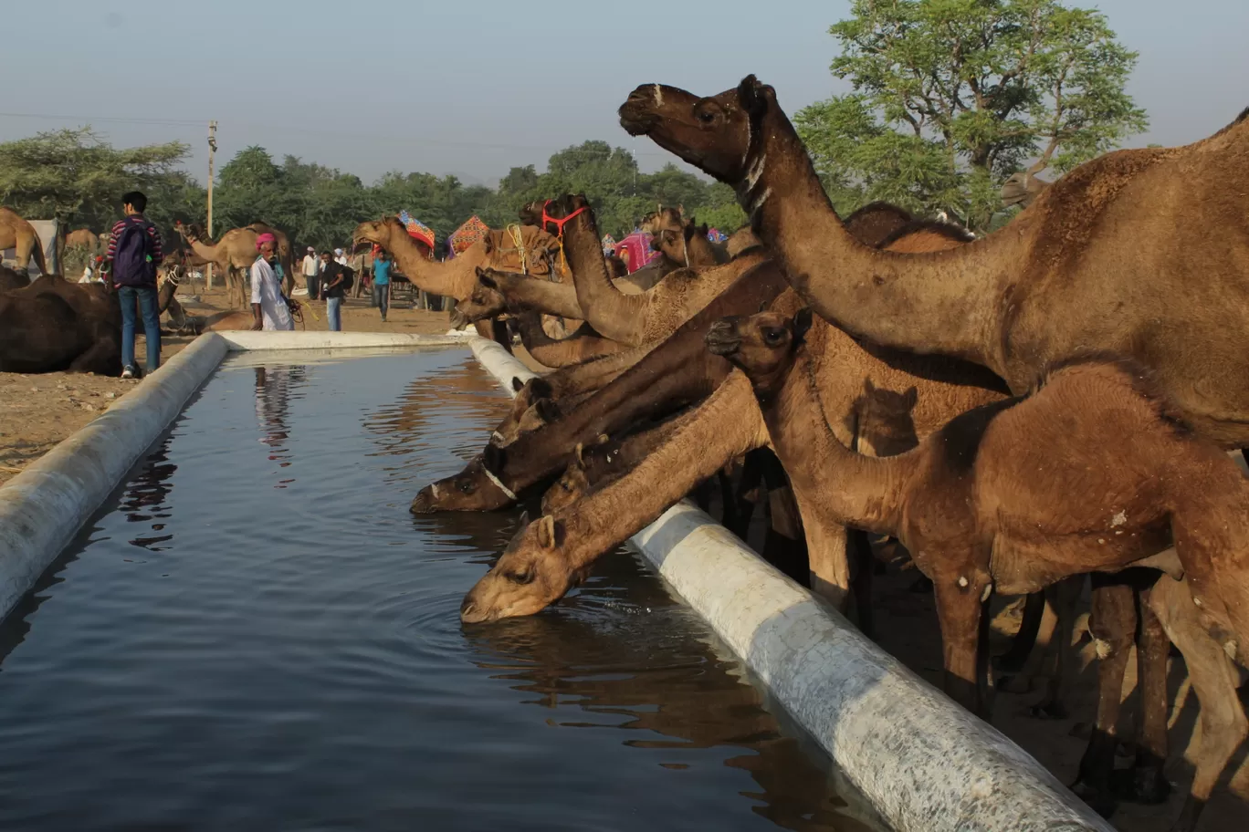 Photo of Pushkar By Maneesh Manu