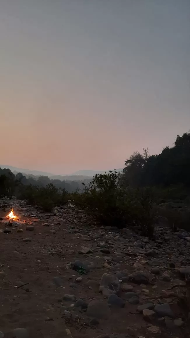 Photo of Mhadei Wildlife Sanctuary By Yashodhara Roy