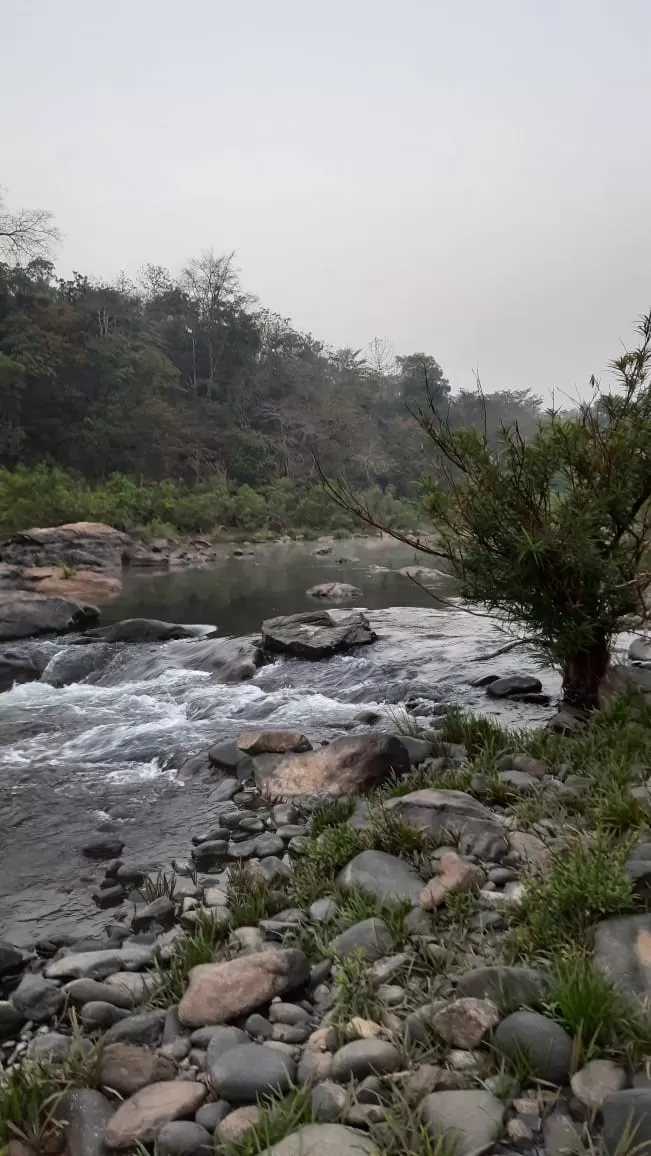 Photo of Mhadei Wildlife Sanctuary By Yashodhara Roy