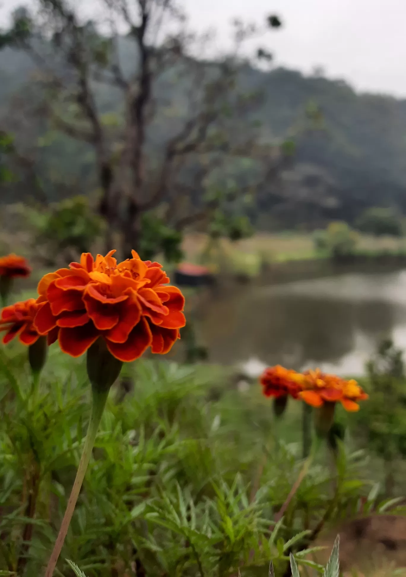 Photo of Madikeri By Yashodhara Roy