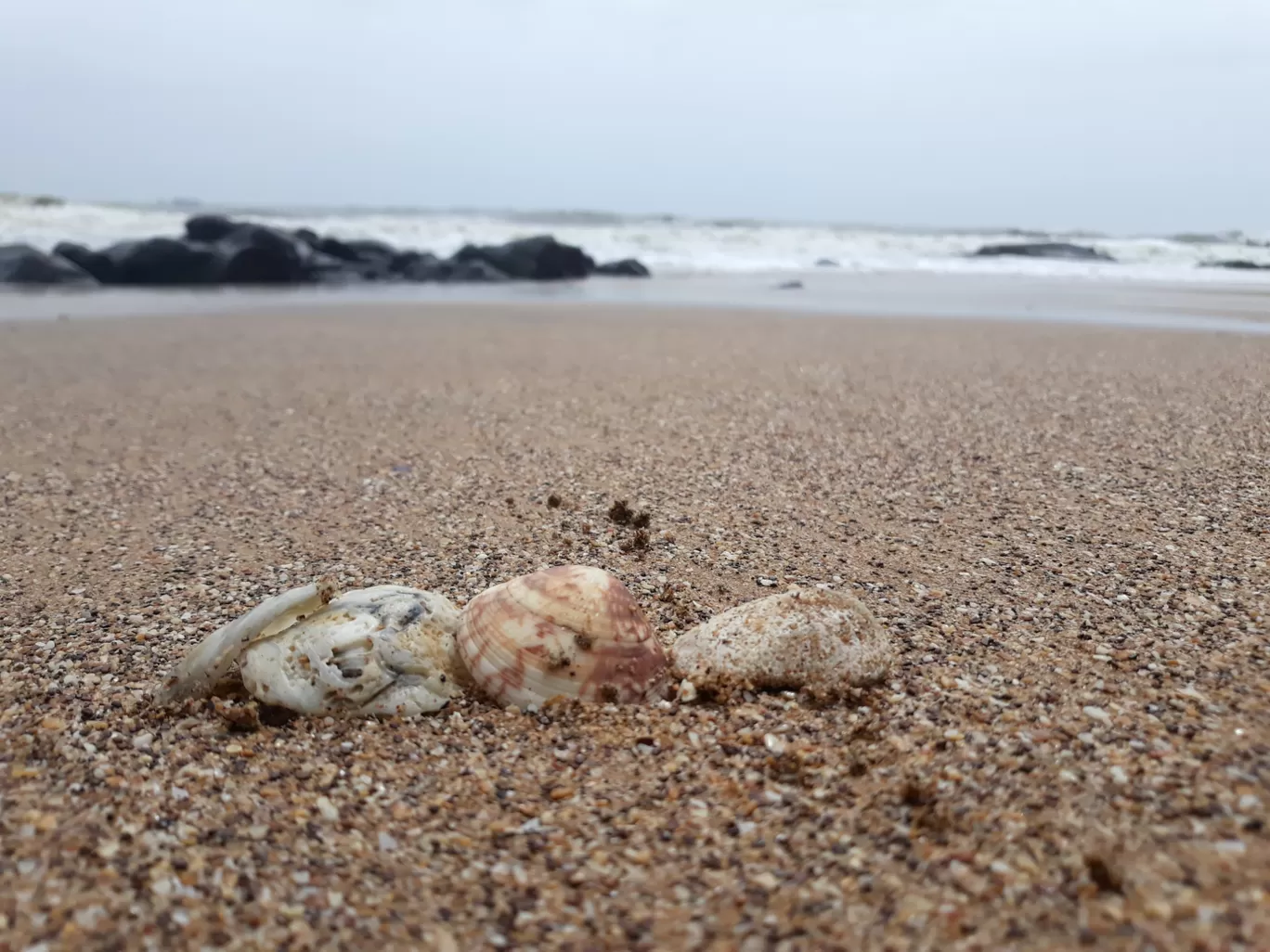 Photo of Goa trip in monsoon ....a different angle of goa By Sarthak Gupta