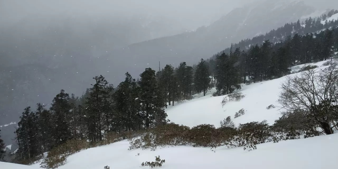 Photo of Tungnath By Sarthak Gupta