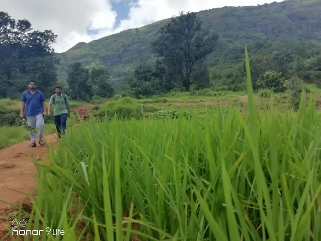 Photo of kalsubai Treking And Camping By Salman Chukkan