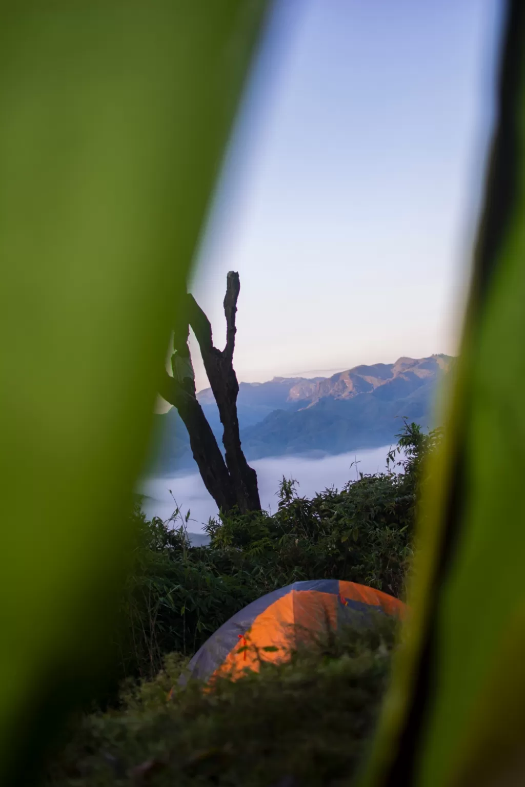Photo of Dzükou Valley Trek By Siddharthh Roy