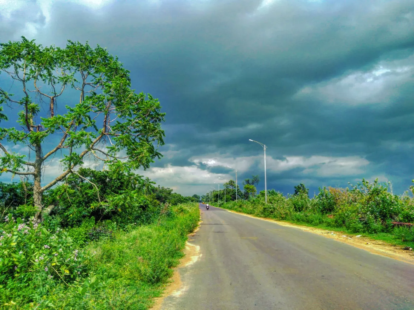 Photo of Odisha By Snehanshu Shome