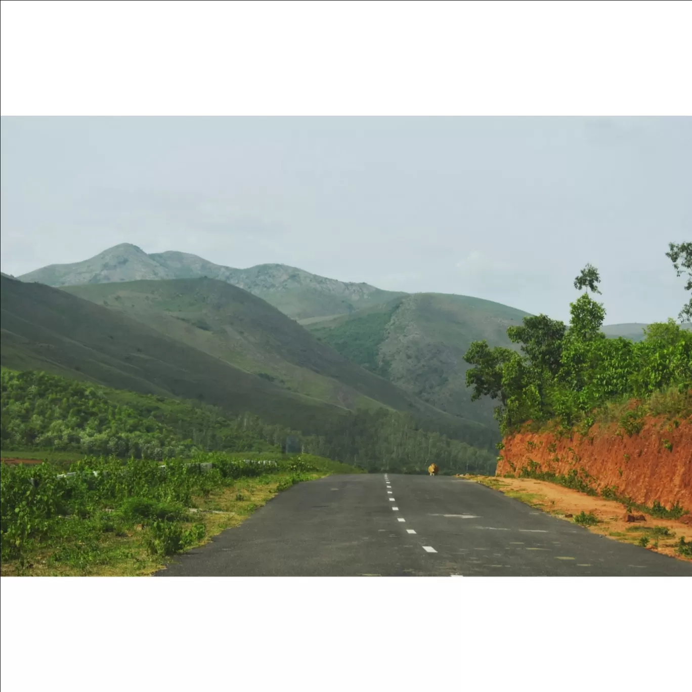 Photo of Odisha By Snehanshu Shome
