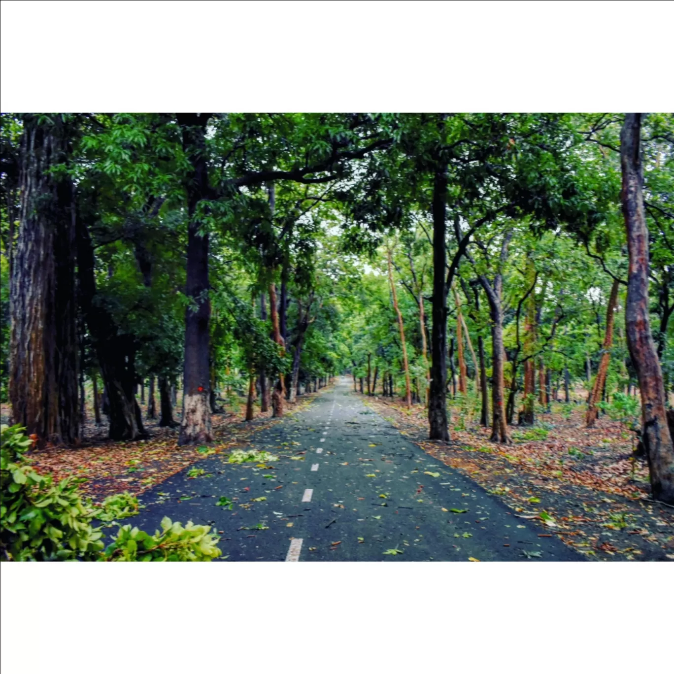 Photo of Odisha By Snehanshu Shome