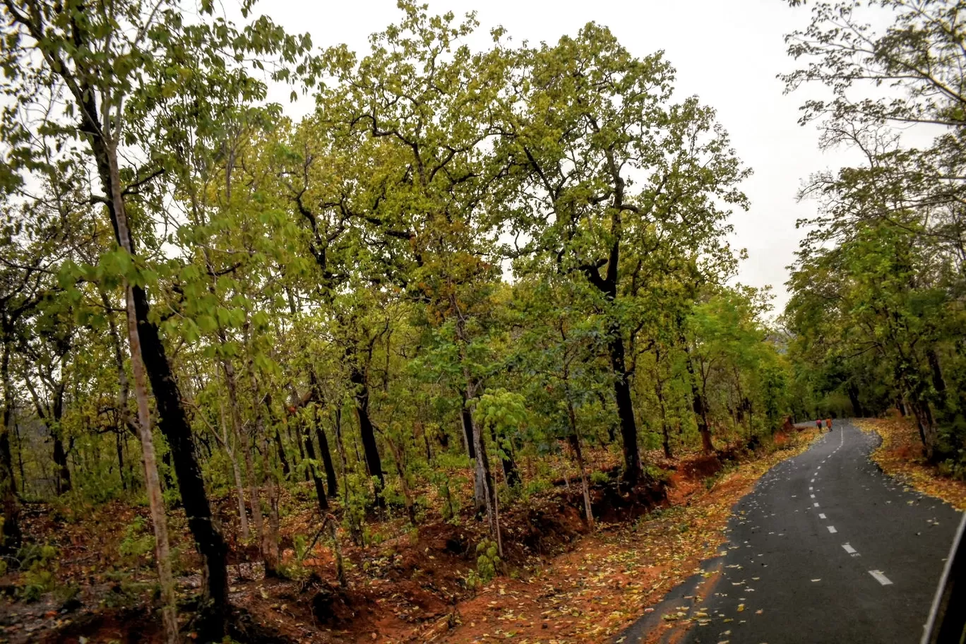 Photo of Odisha By Snehanshu Shome