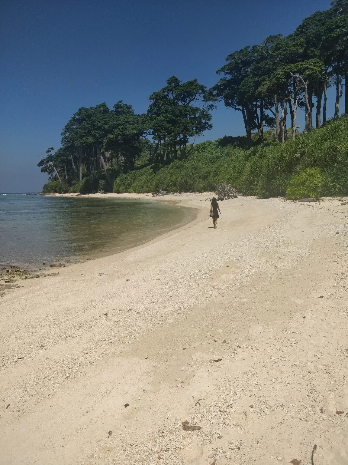Photo of Neil Island By Sonali Saraswat
