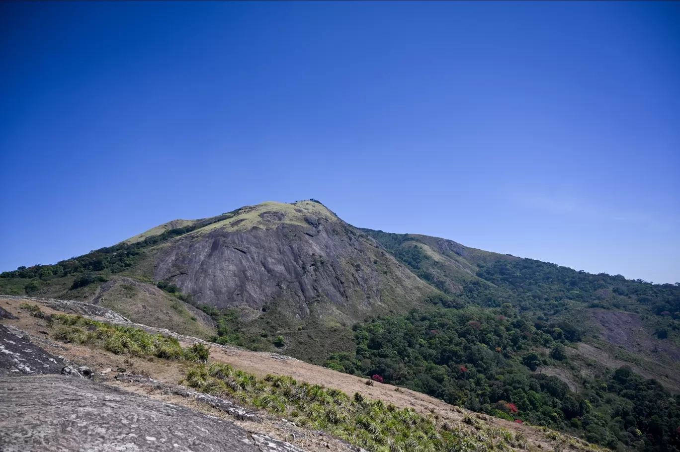 Photo of Nelliyampathy By Kavya Kannan